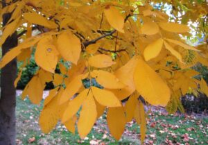 image002